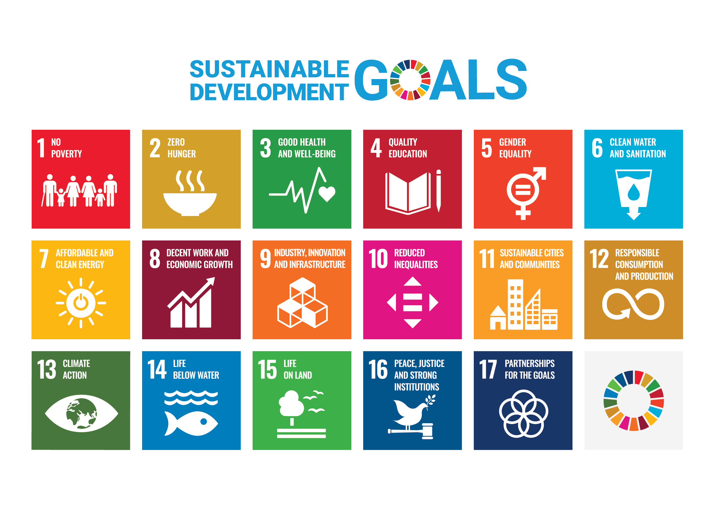 SDG logo