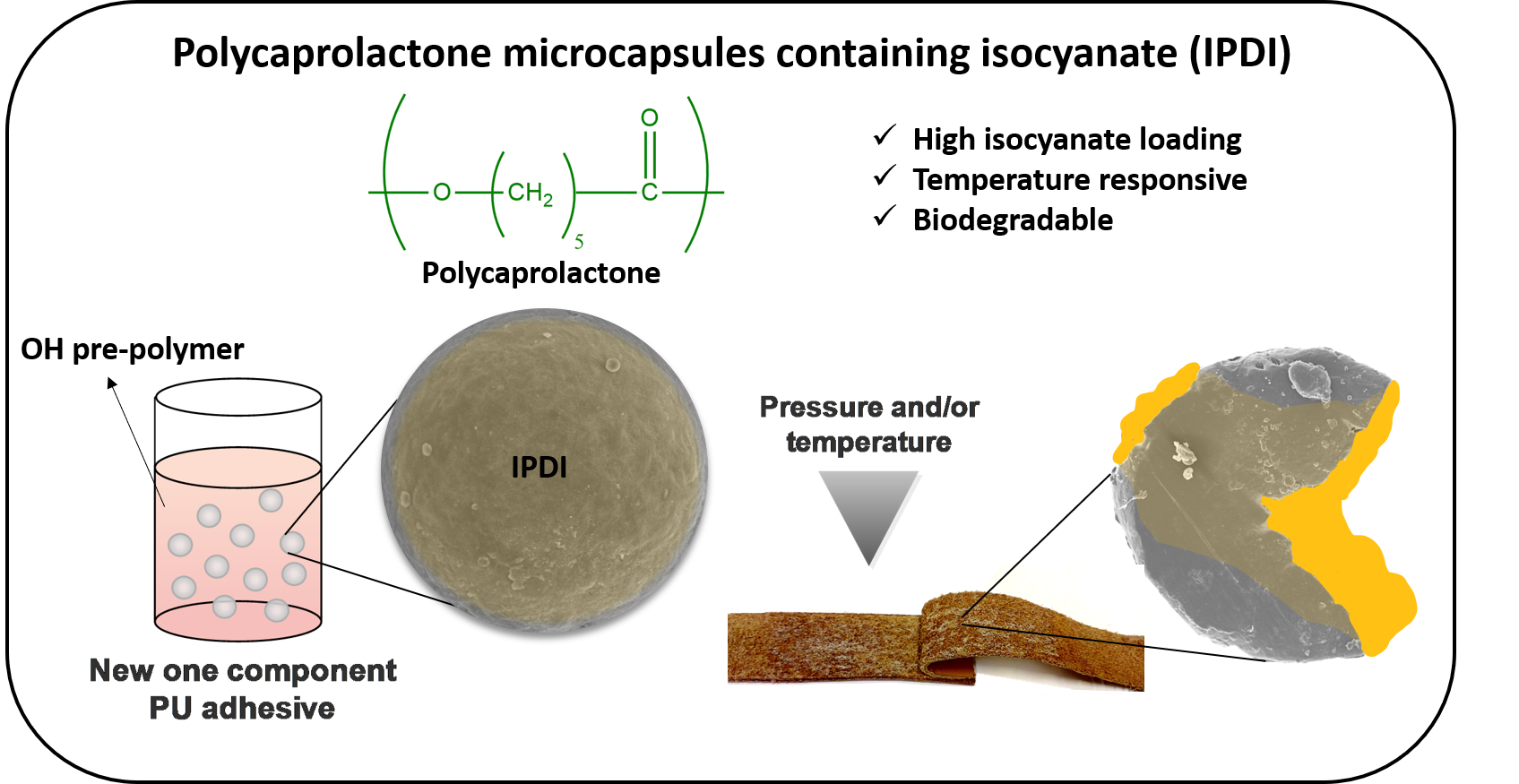 https://pubs.acs.org/doi/10.1021/acsapm.0c00535